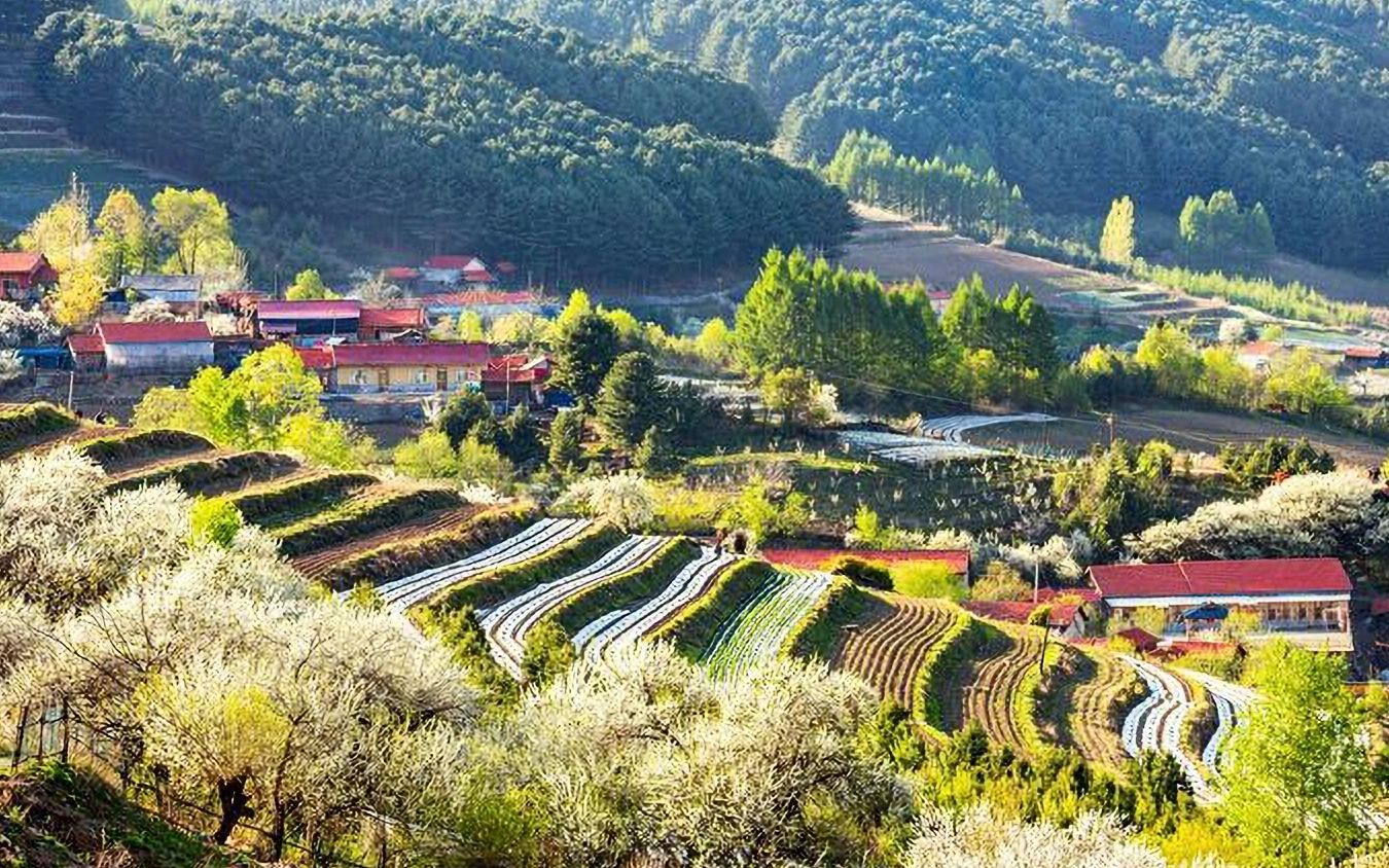 [图]雪村——鲜花盛开的村庄