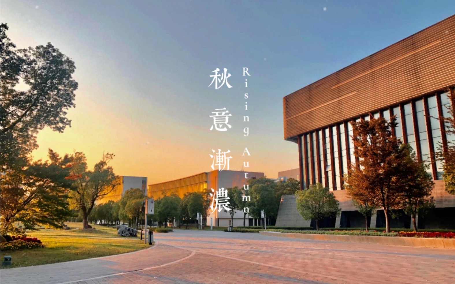 【浙江音乐学院】声歌系"聚光凝声"校园摄影线上微展第三期