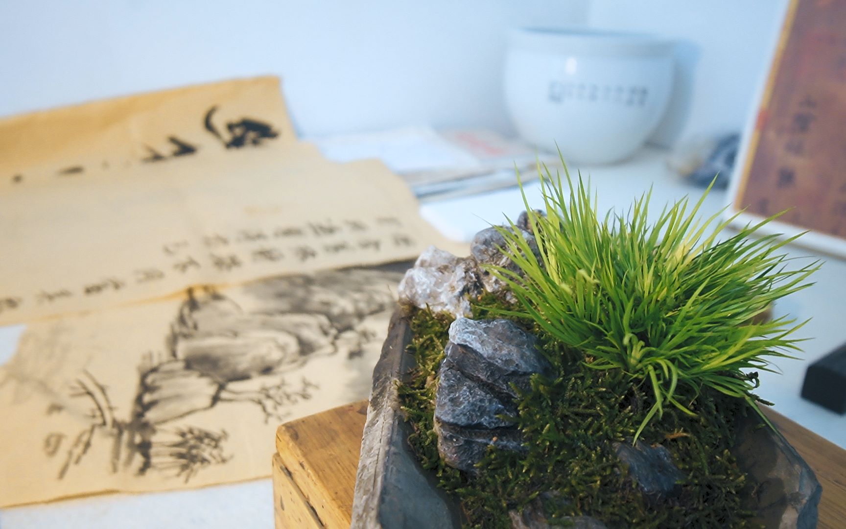 盆景老楼随手用瓦片和小草做出漂亮小盆景,再讲讲历史的文化故事_哔哩