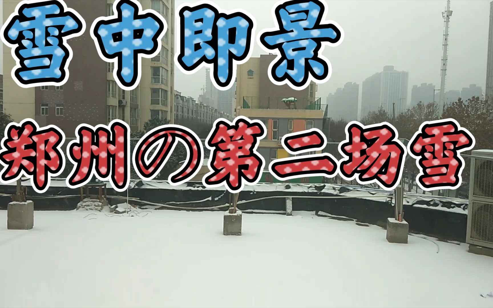 [图][雪中即景]郑州又下雪了！