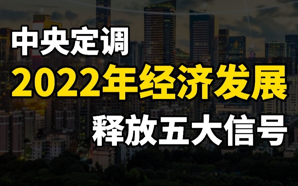 中央定调2022年经济发展,释放出了哪五大信号,有哪些影响?哔哩哔哩bilibili