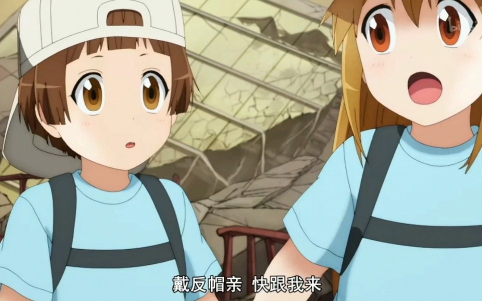 【工作细胞】是戴反帽亲的可爱日常鸭～～_哔哩哔哩_bilibili