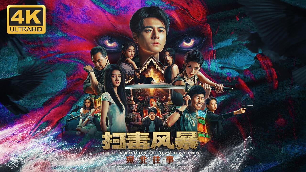 扫毒风暴：宛北往事 全结局视频封面