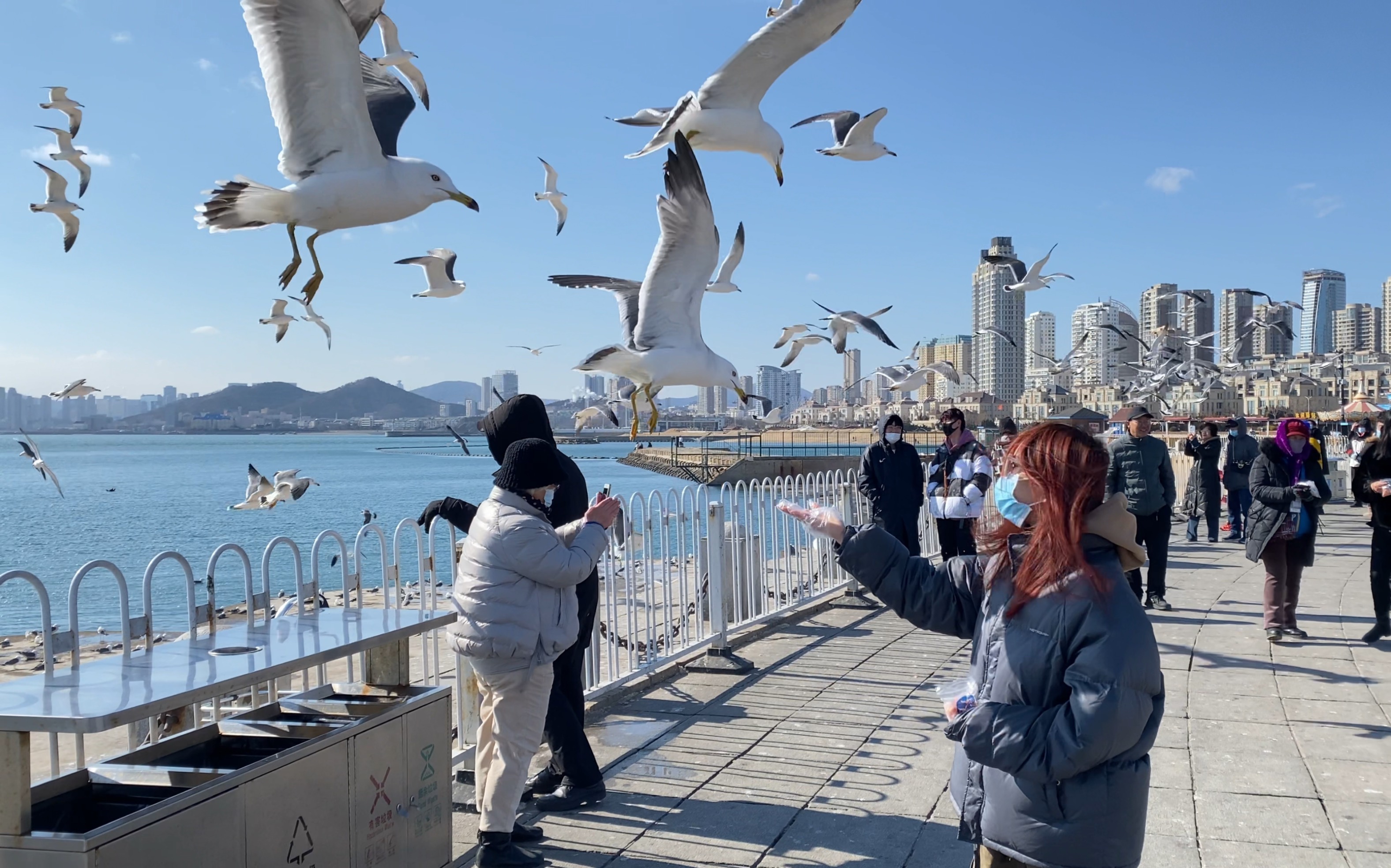 如果心情不好,就去大连喂海鸥吧