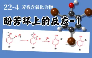 Télécharger la video: 基础有机化学 L22-4 酚芳环上的简单反应