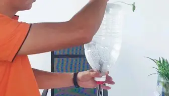 雾培种植基础原理