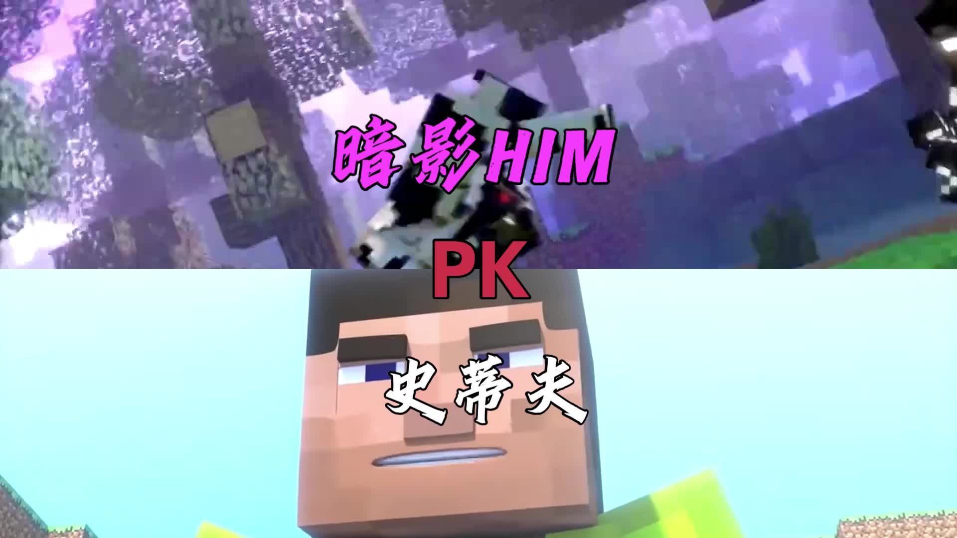 烦村史蒂夫vs暗影him