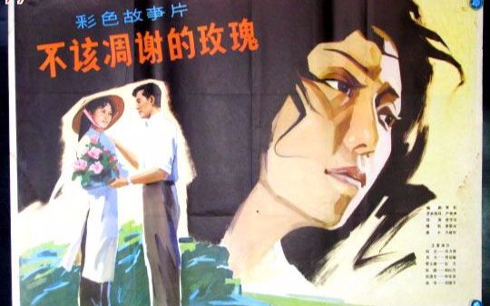 【国产老电影】不该凋谢的玫瑰(1981)哔哩哔哩bilibili