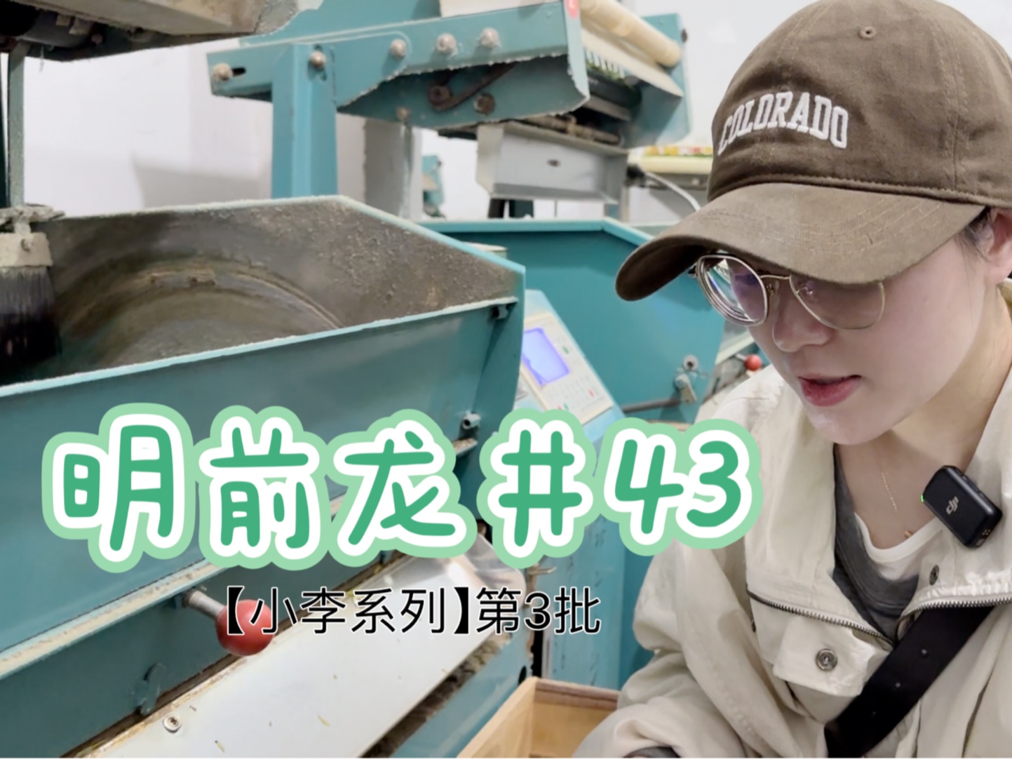 【探厂】小李系列明前龙井43制作中,带你们看看今天的原料~哔哩哔哩bilibili