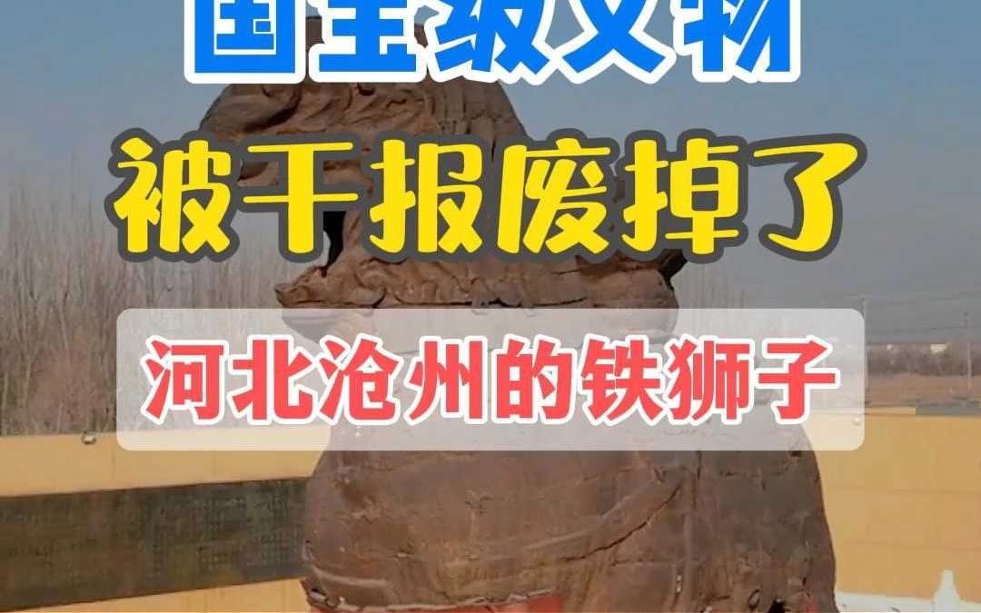 国宝级文物河北沧州的铁狮子,短短50年就被干报废了,实在太可哔哩哔哩bilibili