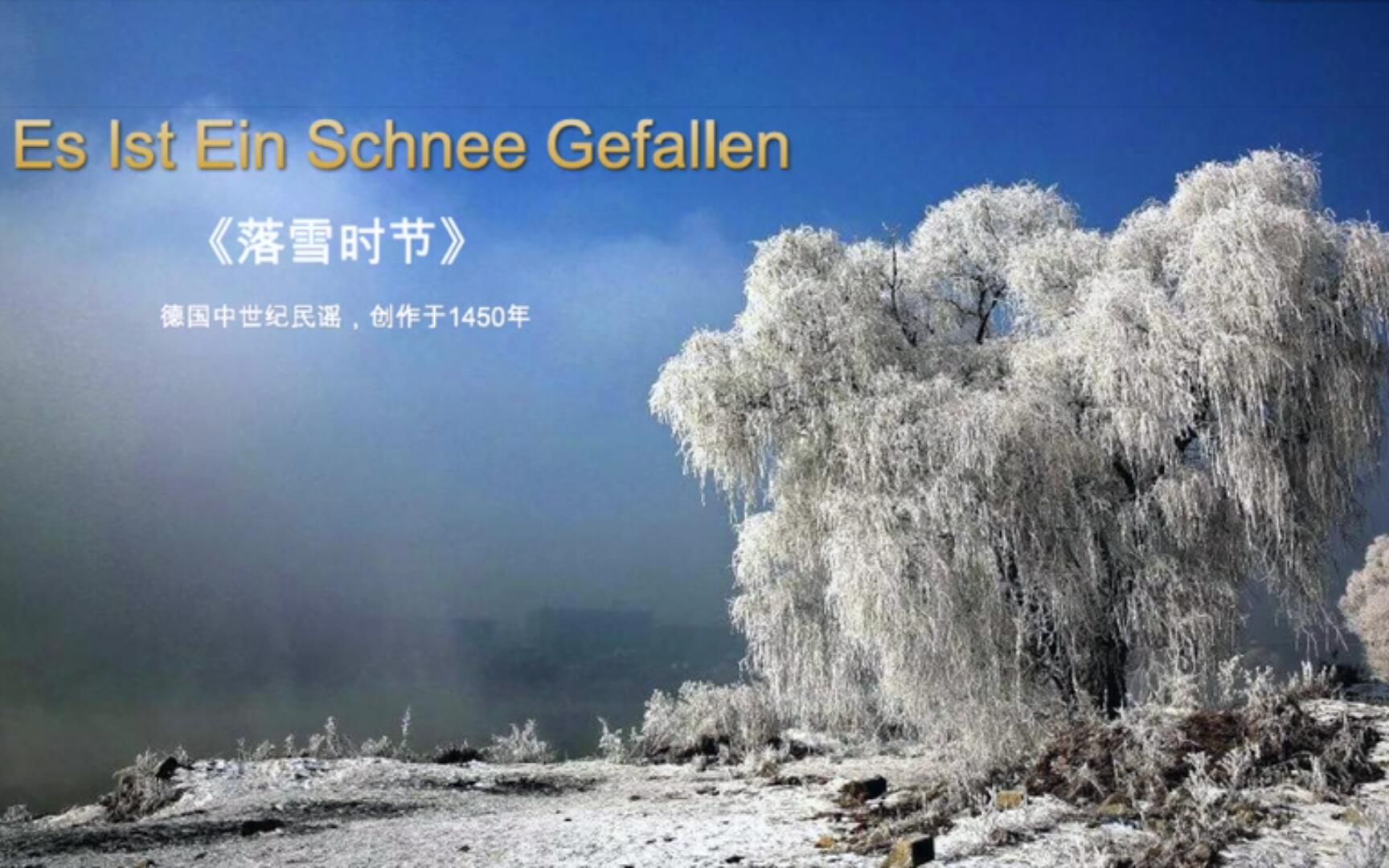 【中德双语字幕】凄美的德国民歌《雪落时分》Es Ist Ein Schnee Gefallen哔哩哔哩bilibili