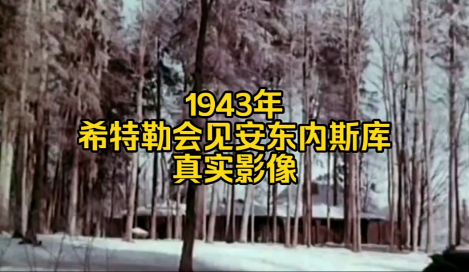 1943年希特勒会见安东内斯库的真实历史影像.哔哩哔哩bilibili