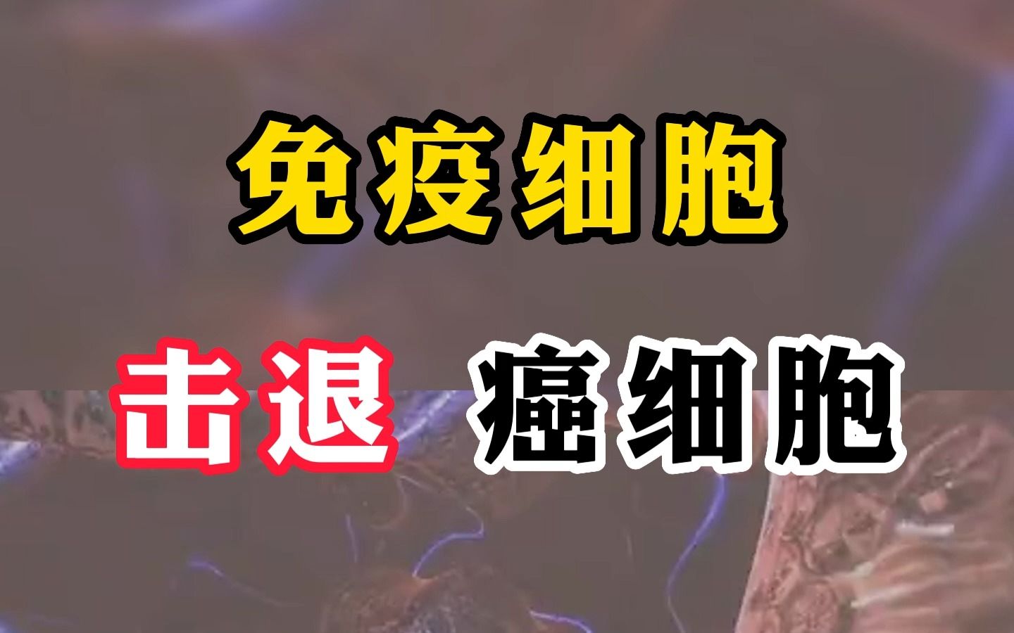 [图]免疫细胞击退癌症