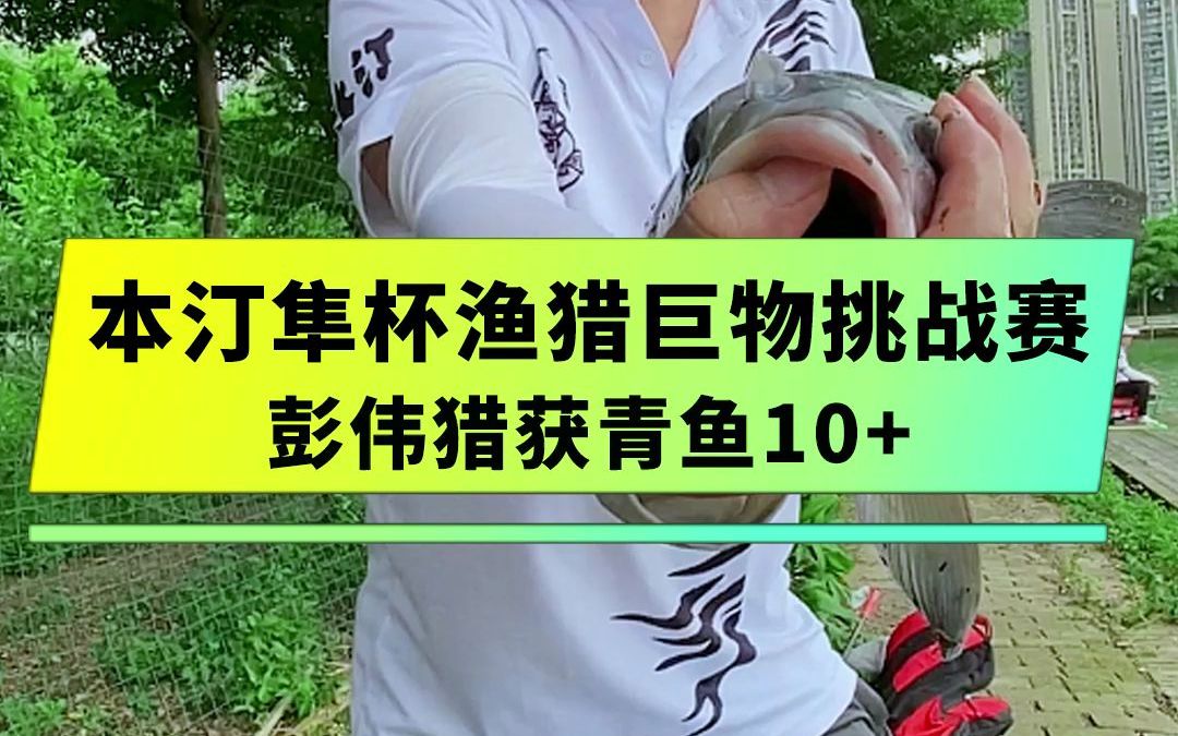 [图]本汀隼杯渔猎巨物挑战赛-大师猎获青鱼10+