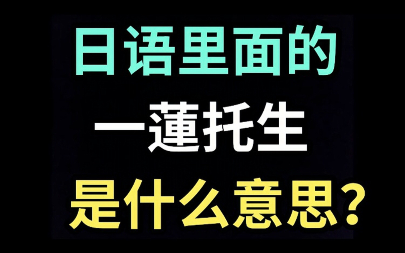 日语里的“一莲托生”是什么意思?【每天一个生草日语】哔哩哔哩bilibili