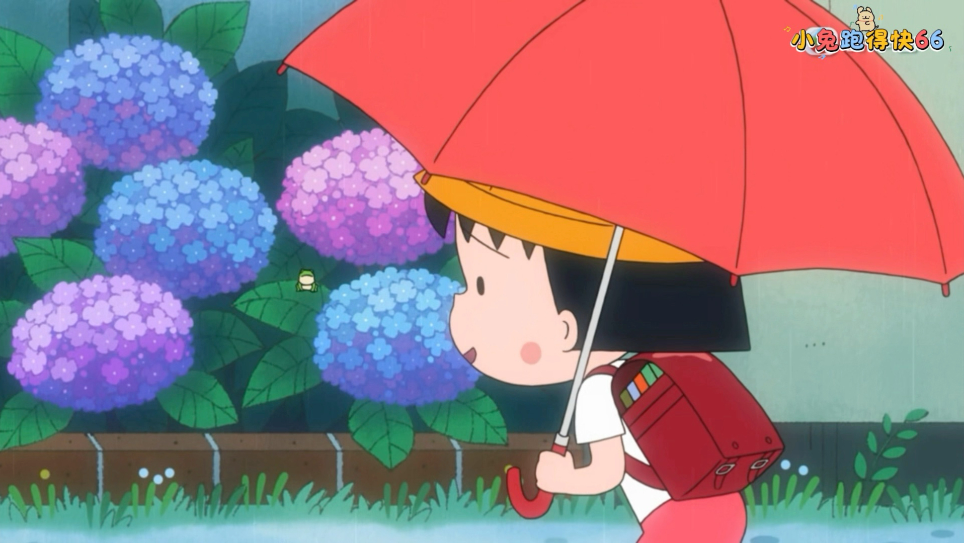 ·樱桃小丸子 驱散梅雨季节的烦躁 粤语 2026.6.13