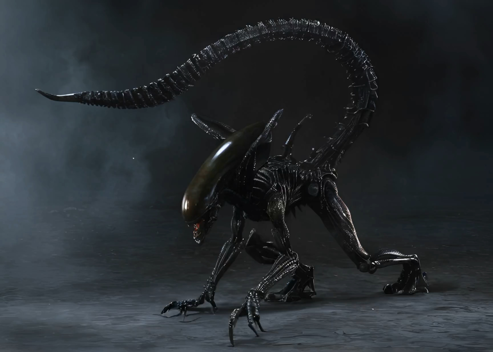 第116期:是异形宝宝的一生呀6