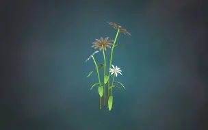 Video herunterladen: 制作风格化的3D植物