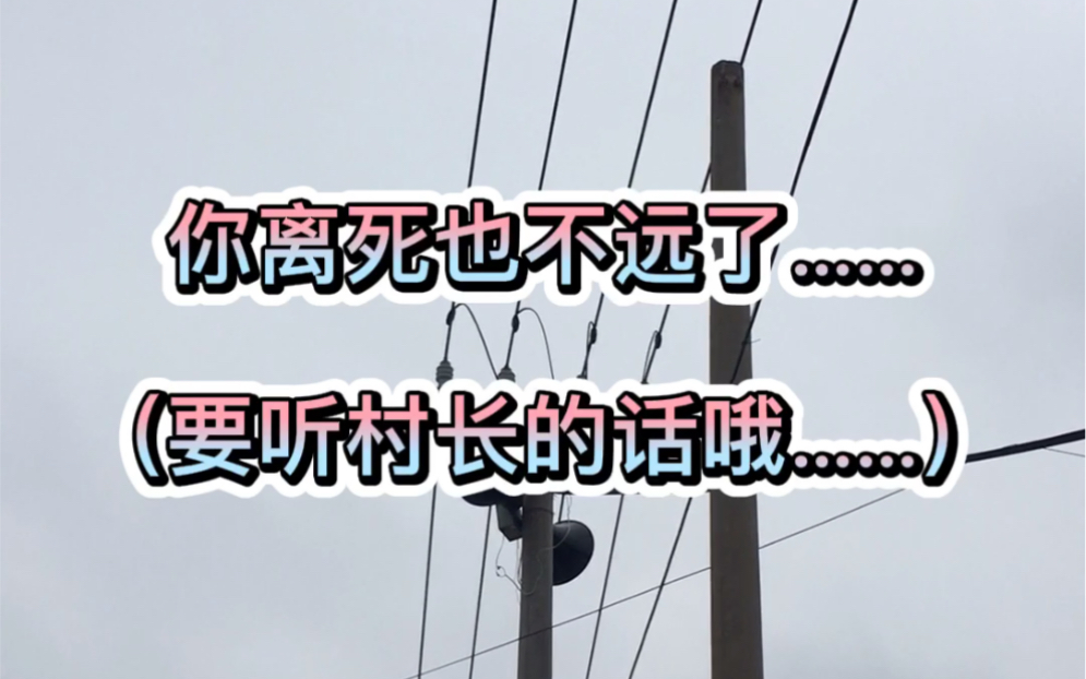 河南省夏邑县村长硬核喊话哔哩哔哩bilibili