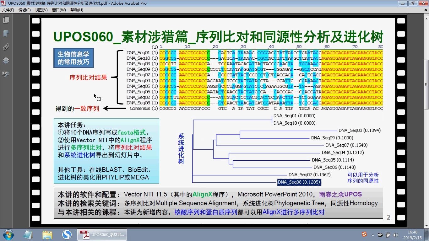 UPOS060素材涉猎篇序列比对和同源性分析及进化树哔哩哔哩bilibili