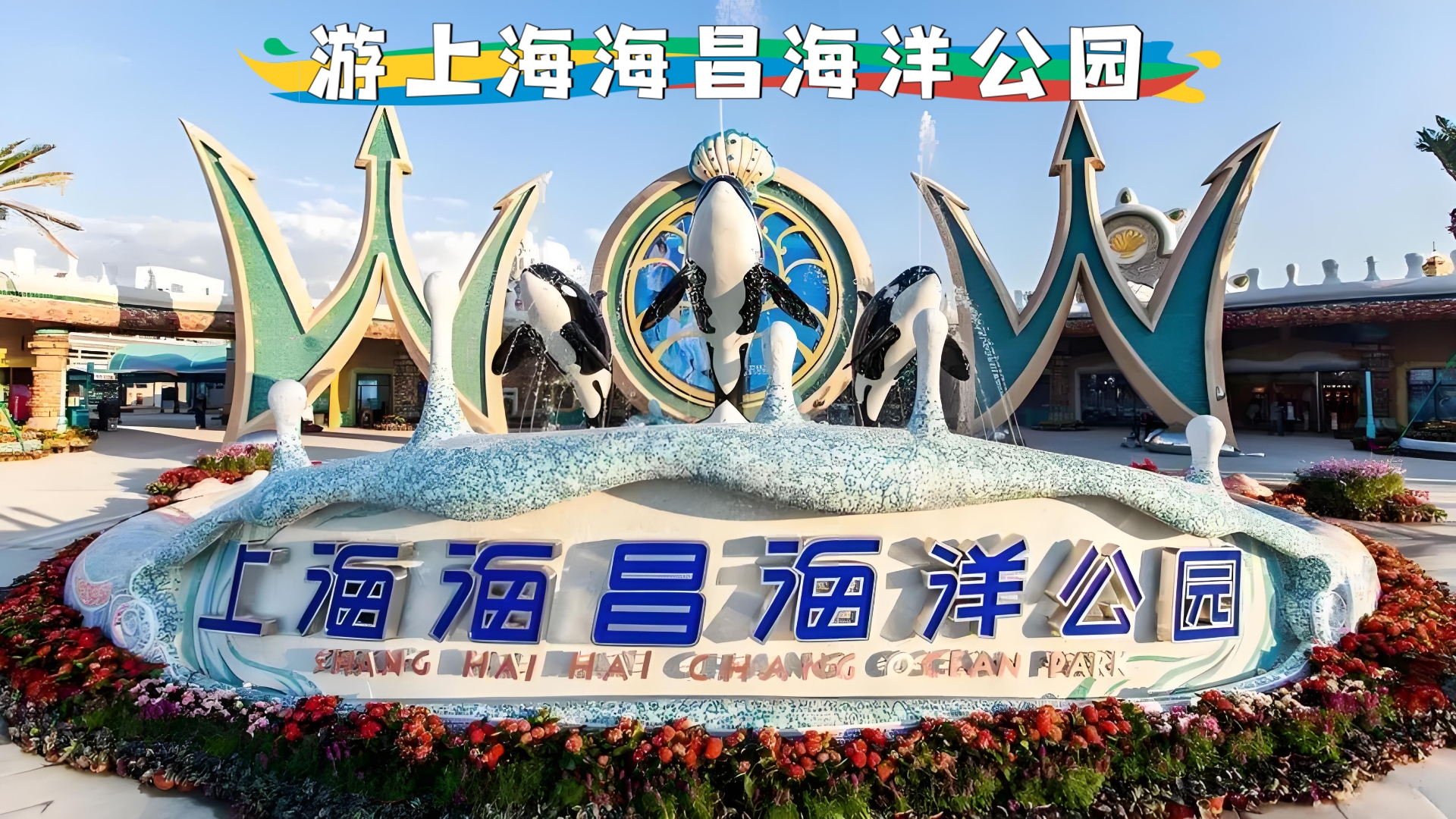 游上海海昌海洋公园