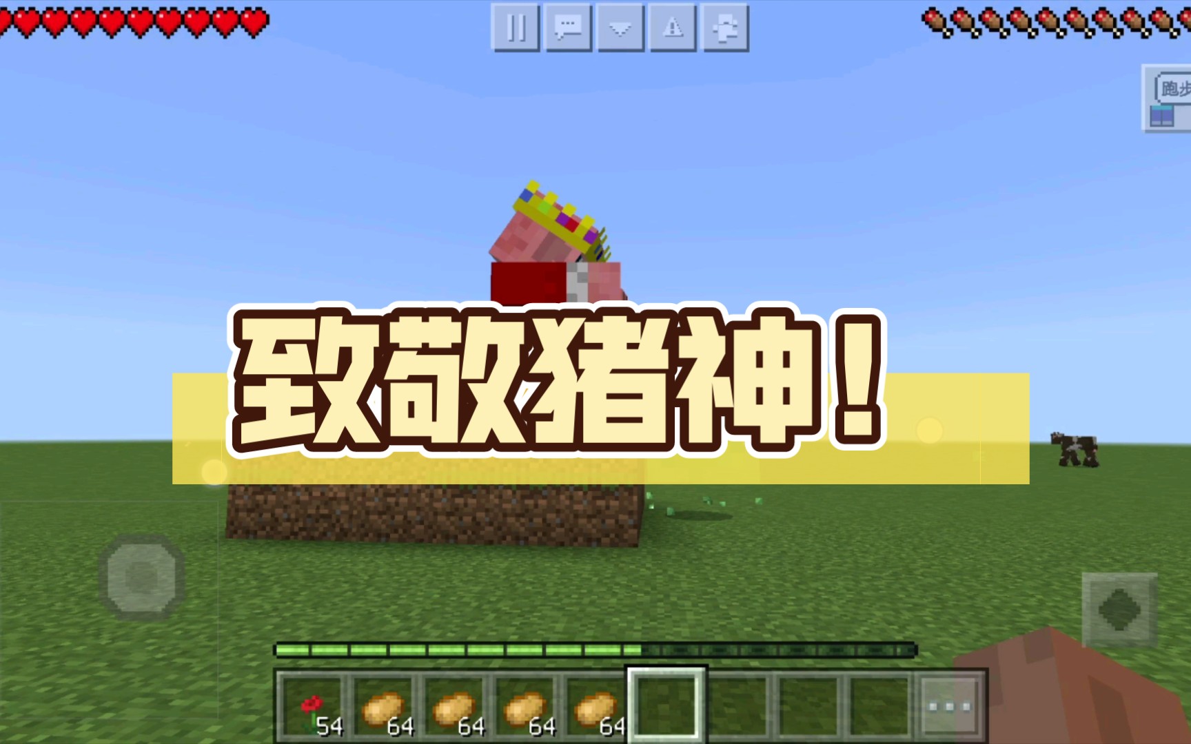 致敬猪神! - 哔哩哔哩