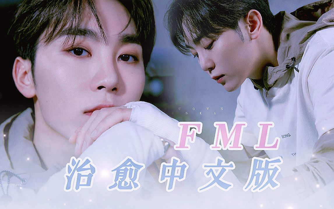 FML治愈中文版 | 把爱都写在歌词里,请收听的你一定要幸福 | 【SEVENTEEN】【Fxck My Life】哔哩哔哩bilibili