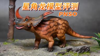 恐龙王 近角龙