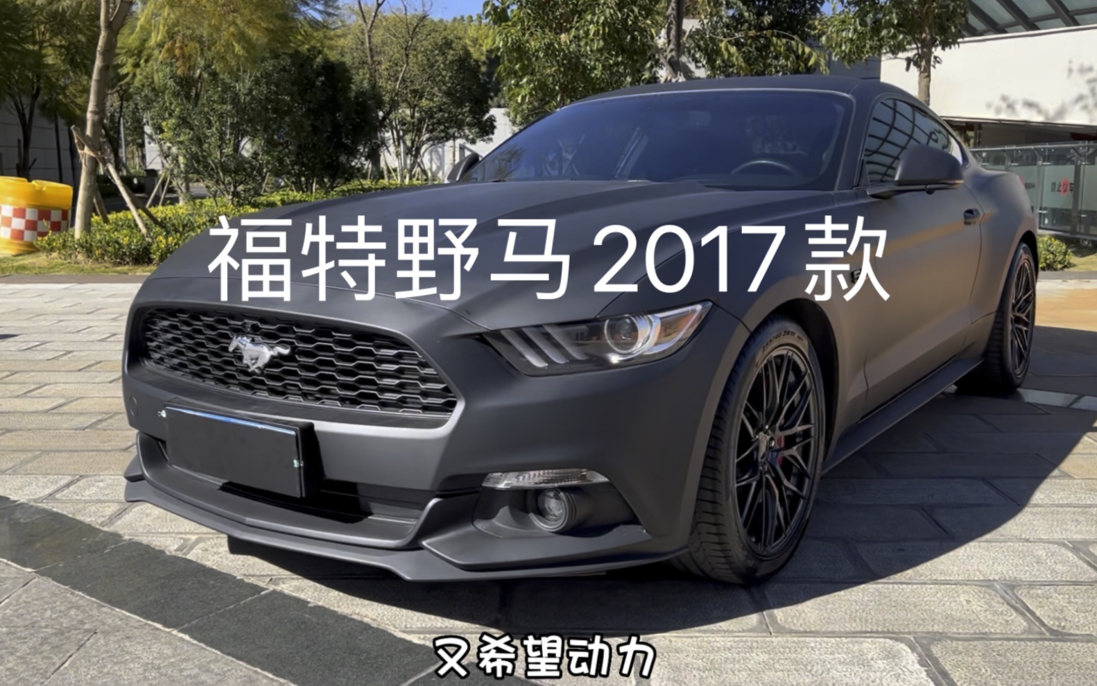 福特Mustang野马,年轻人的第一台跑车哔哩哔哩bilibili