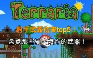 盘点泰拉瑞亚那些射手秒伤（DPS）top5的武器！