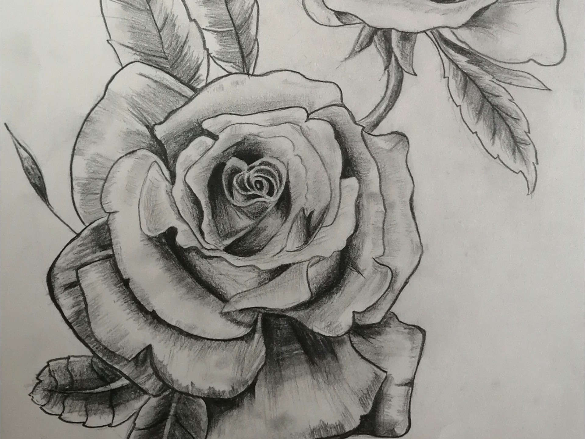 浅盘一下在下初二到初三画的素描