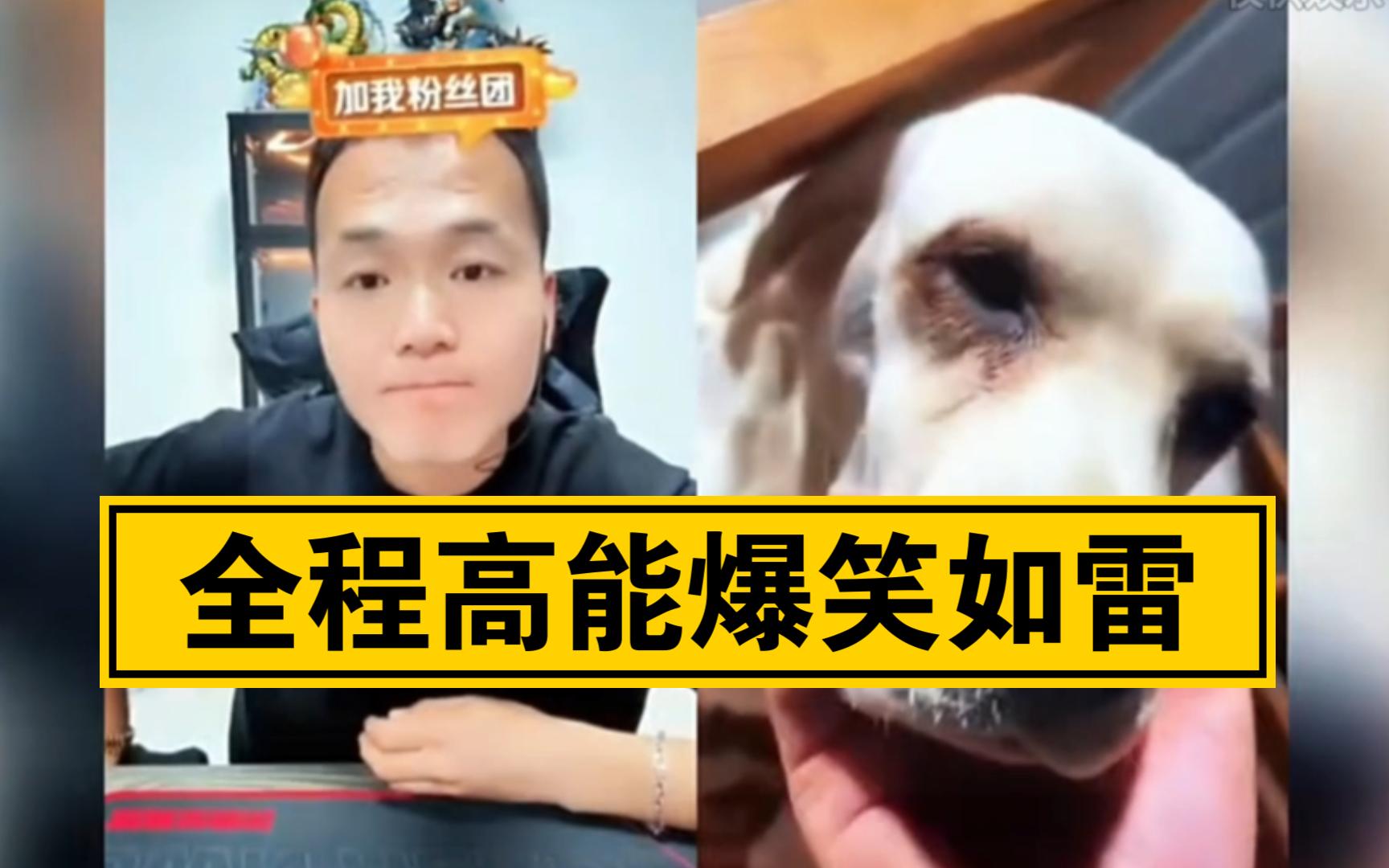 潘宏直播训狗,全程高能,爆笑如雷!-潘宏爱玩狗--潘宏爱玩狗--哔哩哔哩视频