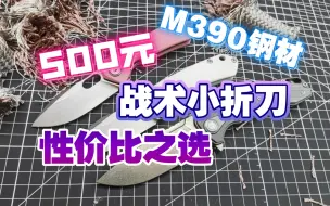 Télécharger la video: 500元就能买到的货真价实M390钢材小折——maxace新款“平衡m”和“猫鼬m”推荐评测，新手入门战术小折极好的选择！