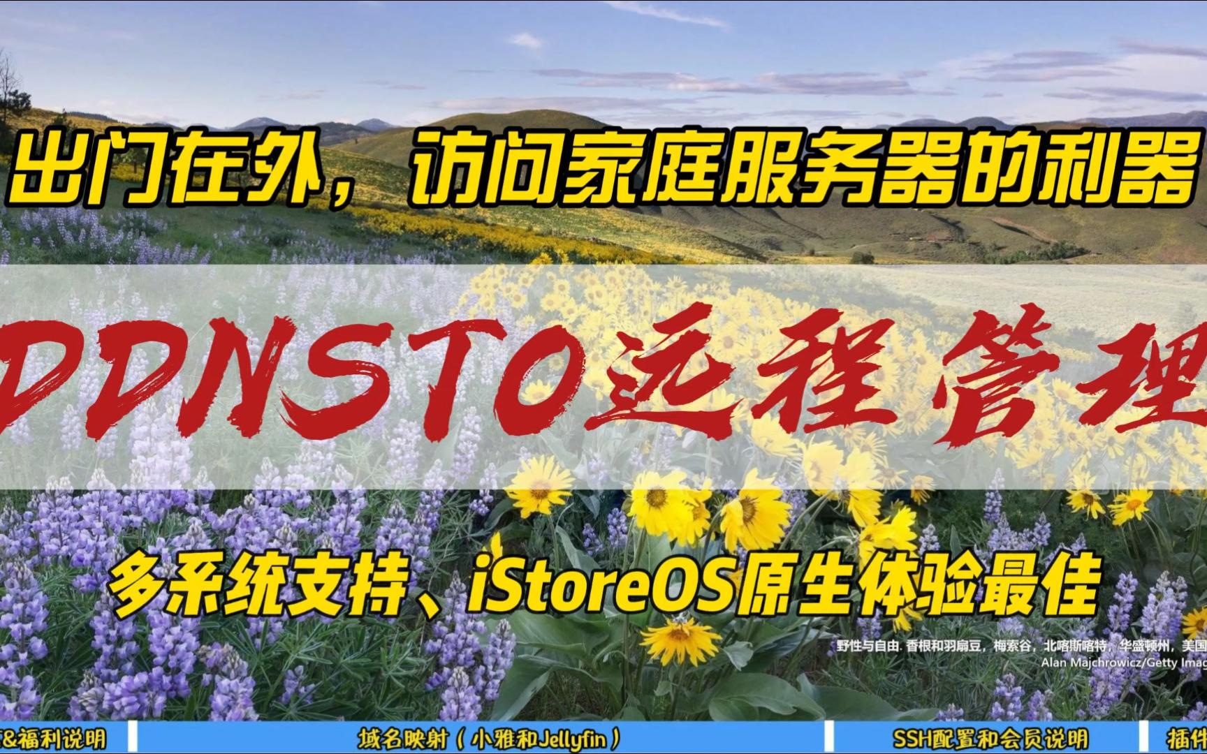 出门在外,访问家庭服务器的利器~DDNSTO远程管理,多系统支持,iStoreOS原生体验最佳~