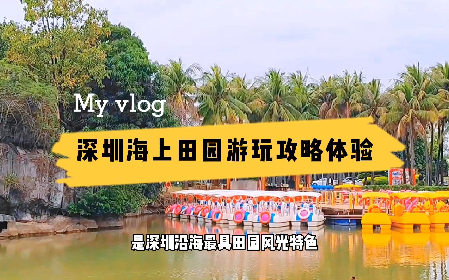 深圳海上田园,湖泊溪流众多密林遍布,宝爸宝妈们带娃绝佳去处哔哩哔哩bilibili