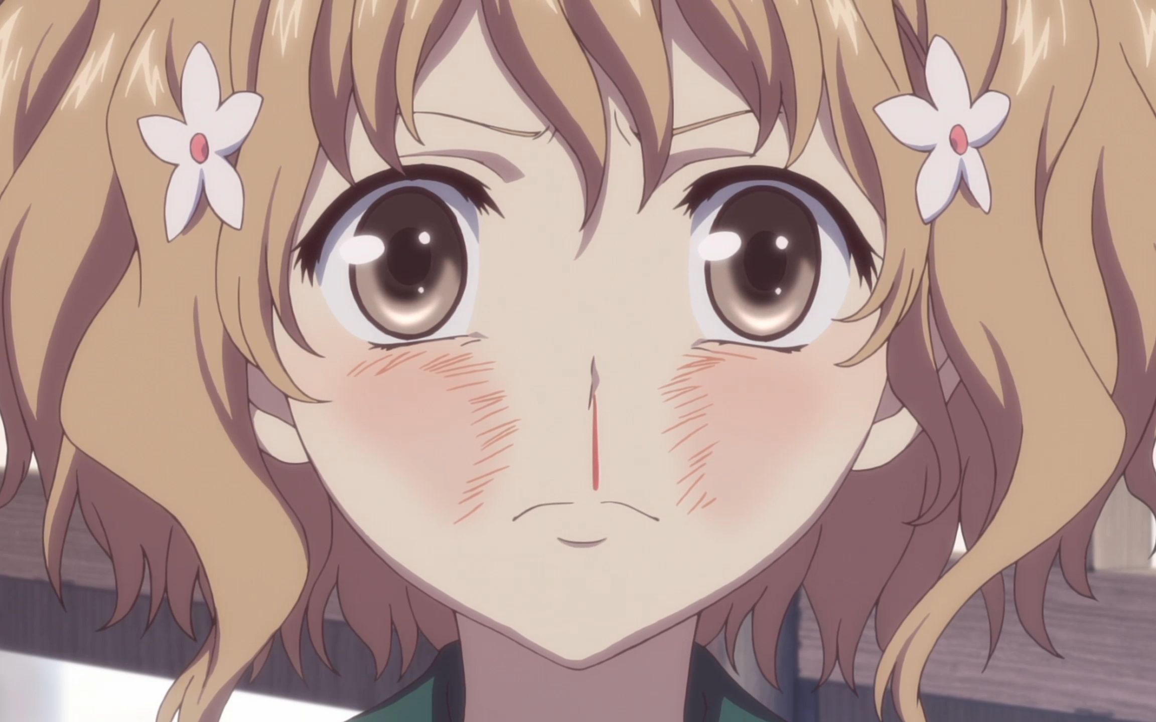 励志与成长,女主想要变得发光发亮!《花开伊吕波》