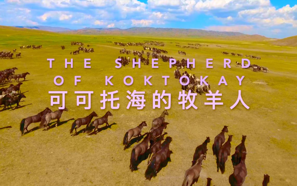 [图]可可托海的牧羊人 | The Shepherd of Koktokay (王琪) [英语歌词]