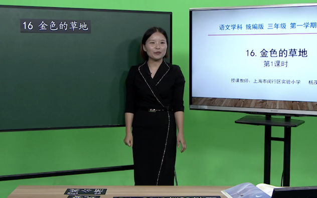 【知识串讲】《习作我们眼中的缤纷世界》部编人教版三年级语文上册YW03A072 上海41 第5单元16.金色的草地①哔哩哔哩bilibili