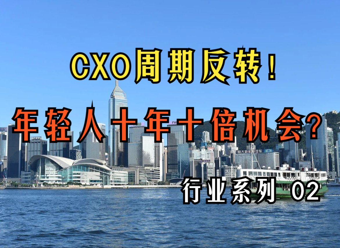 CXO周期反转,年轻人的十年十倍机会?关于CXO,你想知道的都在这里!哔哩哔哩bilibili