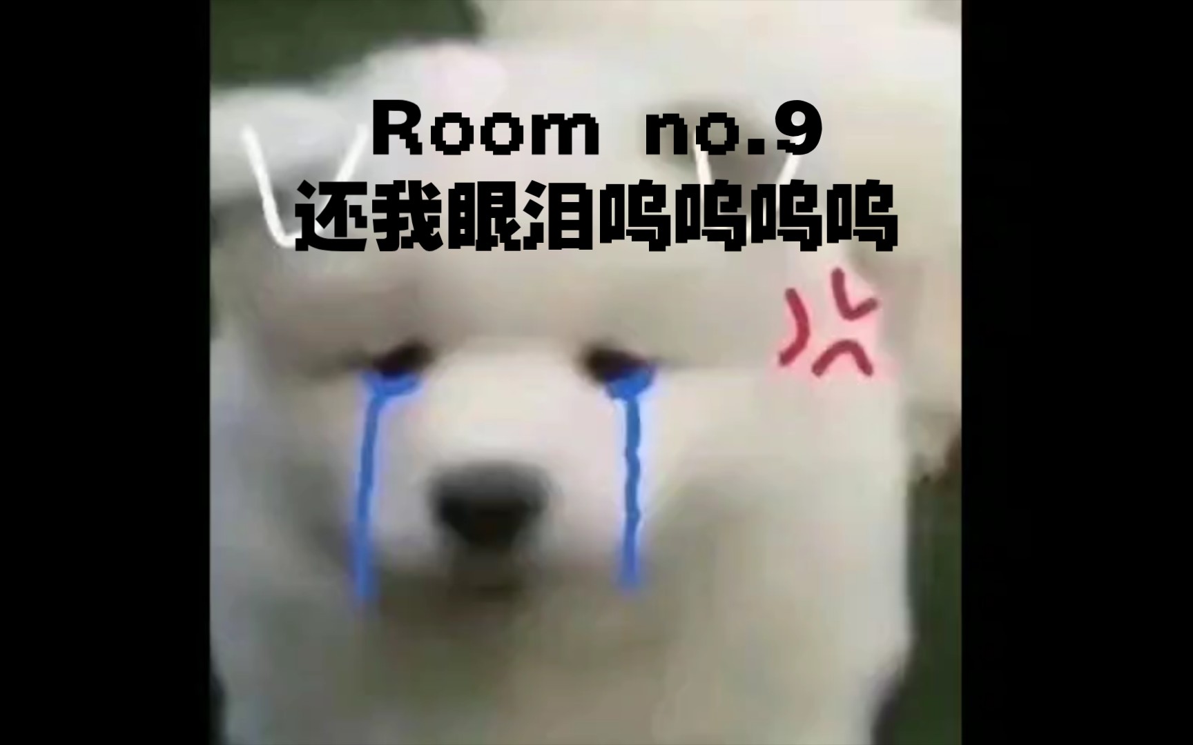 [图]纯情批不要靠近Room no.9！！！会变得不幸！！！