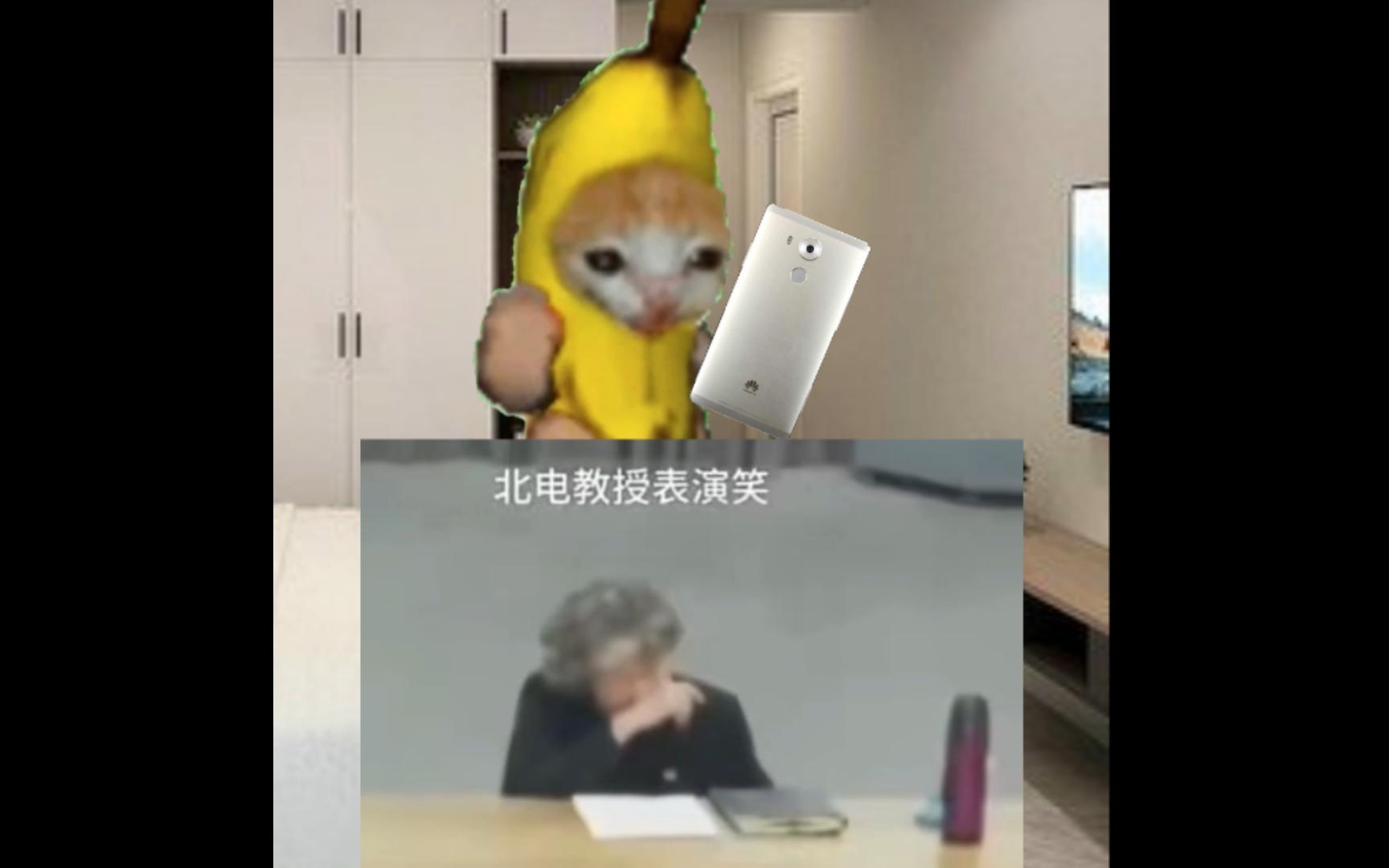 香蕉猫学习教科书式假笑