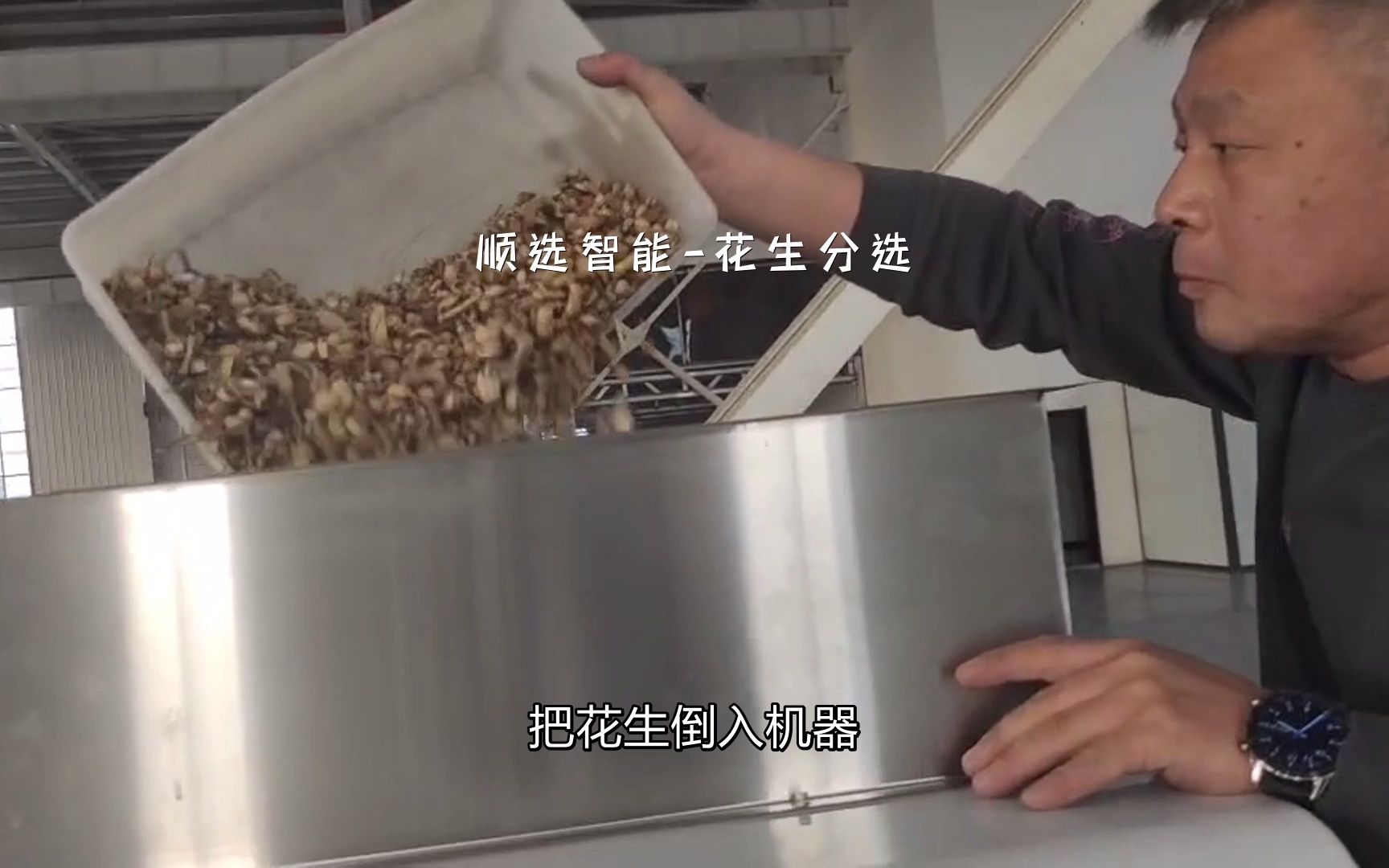 大型花生果筛选机,花生选果机去石霉变花生皮等杂质