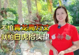 Descargar video: “不怕青龙万丈高，就怕白虎抬头望”，什么意思？古人的经验之谈