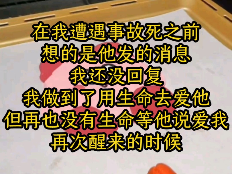 【高分文】(繁星长眠)在我遭遇事故死之前,想的是他发的消息我还没回复,我做到了用生命去爱他,但再也没有生命等他说爱我.哔哩哔哩bilibili