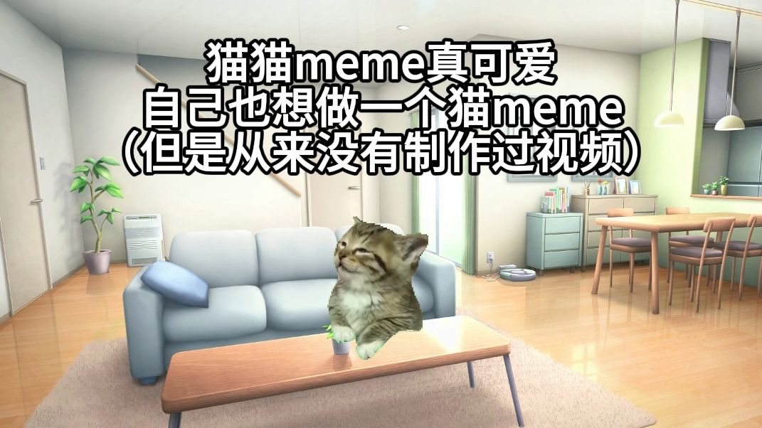 没做过视频的我第一次制作猫meme哔哩哔哩bilibili