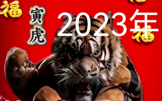 2023年属虎运势哔哩哔哩bilibili