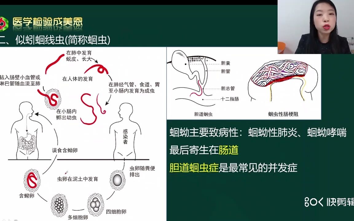 [图]寄生虫学-蠕形住肠线虫（简称蛲虫）它是怎样进入你的身体的？——医学检验讲师（成美恩）