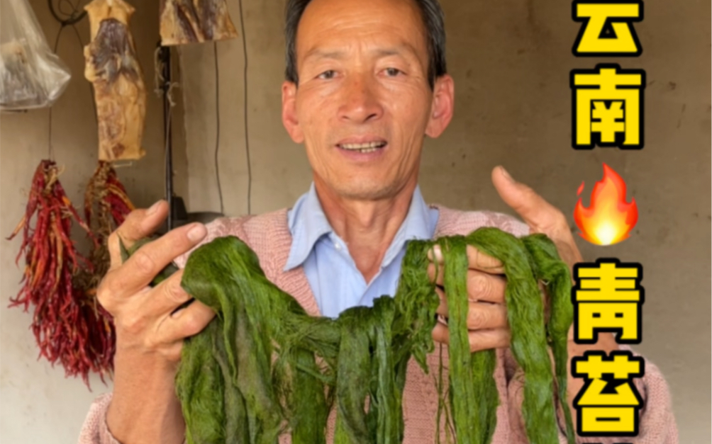 [图]云南大山里的青苔美食