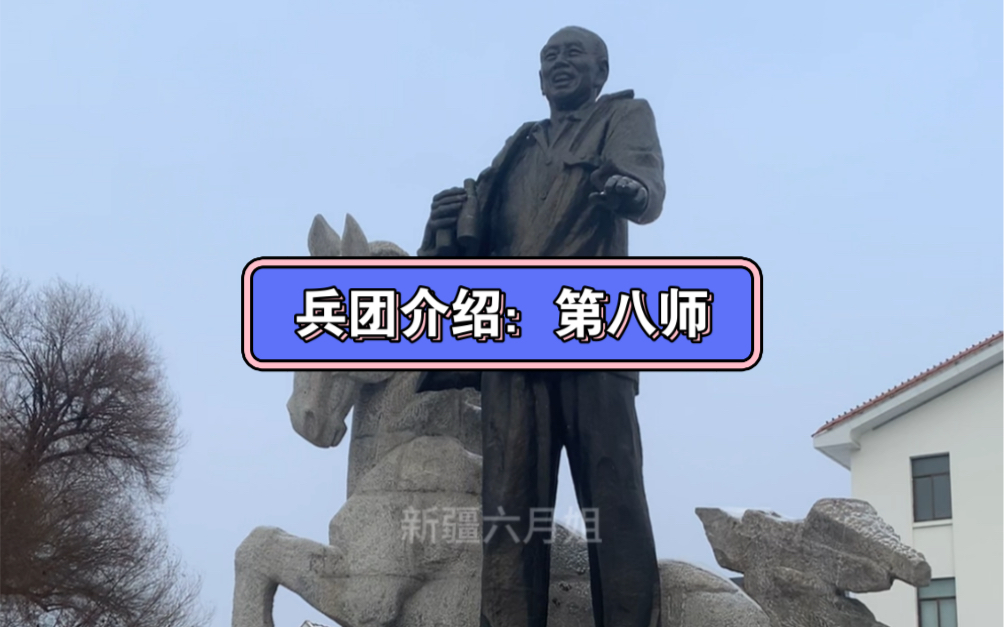 新疆兵团介绍:第八师,总人口约66万人,总部位于石河子市,特产胡萝卜汁.#新疆 #兵团#石河子#胡萝卜汁哔哩哔哩bilibili