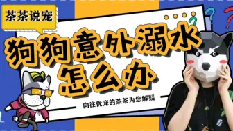 如何给狗狗做人工呼吸 哔哩哔哩 Bilibili